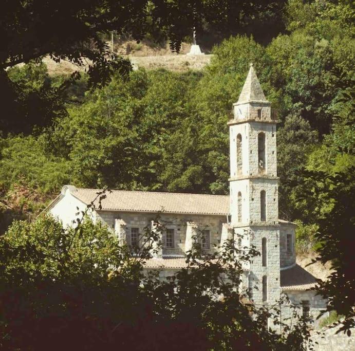 Casa Arena Authentique Maison De Village Avec Piscine Au Coeur De L'Alta Rocca - Zoza Zewnętrze zdjęcie