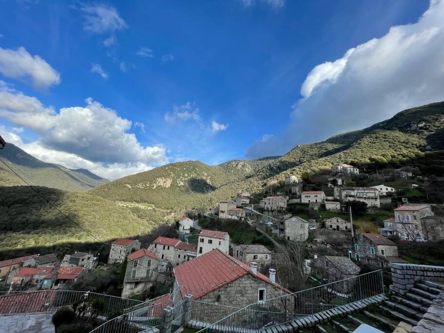 Casa Arena Authentique Maison De Village Avec Piscine Au Coeur De L'Alta Rocca - Zoza Zewnętrze zdjęcie