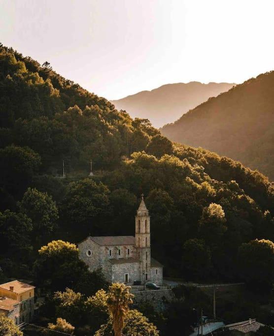 Casa Arena Authentique Maison De Village Avec Piscine Au Coeur De L'Alta Rocca - Zoza Zewnętrze zdjęcie