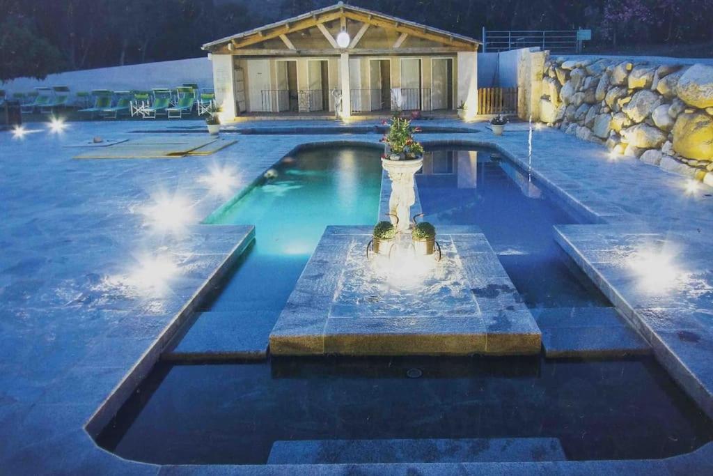 Casa Arena Authentique Maison De Village Avec Piscine Au Coeur De L'Alta Rocca - Zoza Zewnętrze zdjęcie