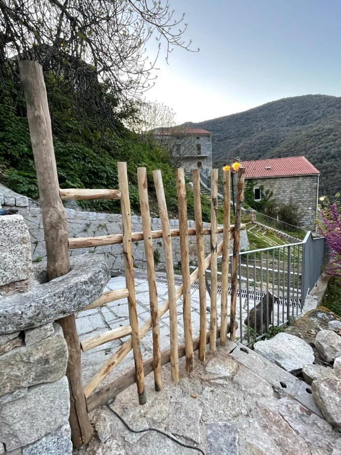 Casa Arena Authentique Maison De Village Avec Piscine Au Coeur De L'Alta Rocca - Zoza Zewnętrze zdjęcie
