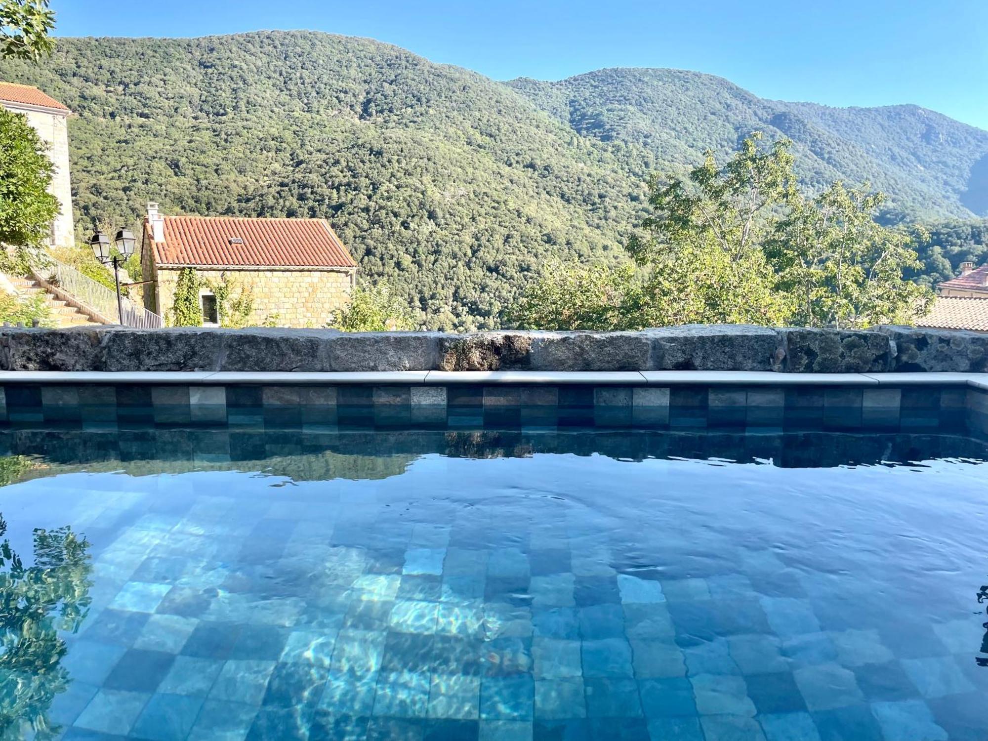 Casa Arena Authentique Maison De Village Avec Piscine Au Coeur De L'Alta Rocca - Zoza Zewnętrze zdjęcie