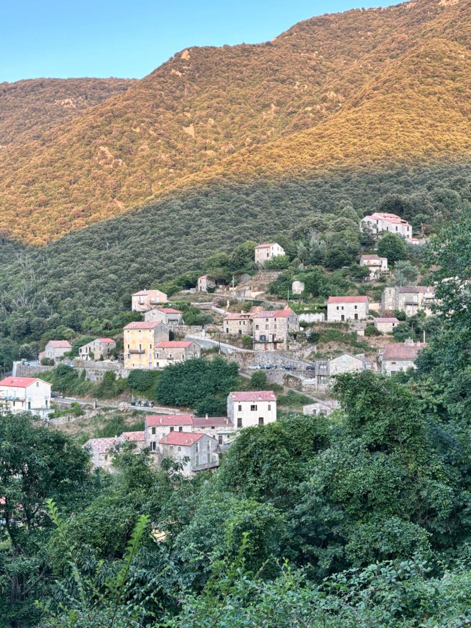 Casa Arena Authentique Maison De Village Avec Piscine Au Coeur De L'Alta Rocca - Zoza Zewnętrze zdjęcie